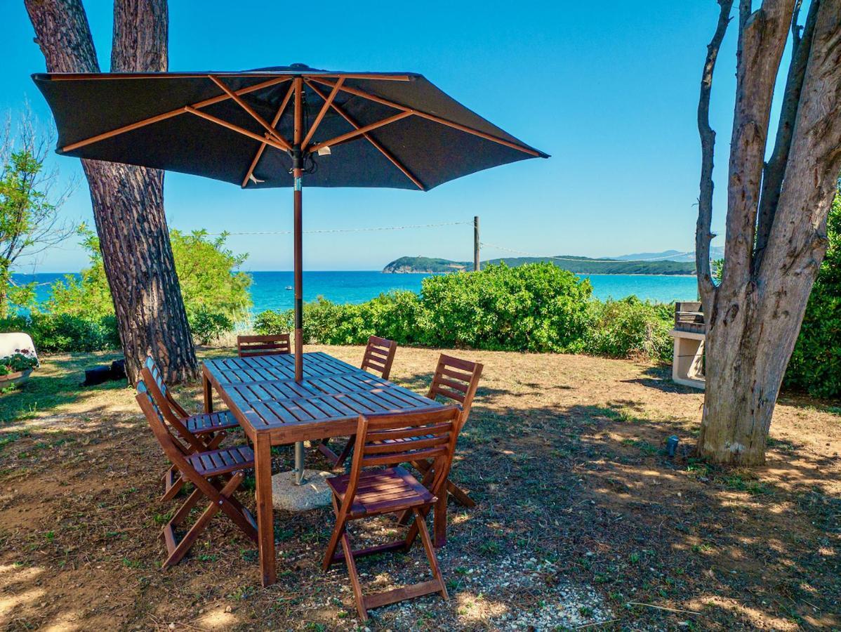 Villa Tanaquilla Baratti Exterior photo